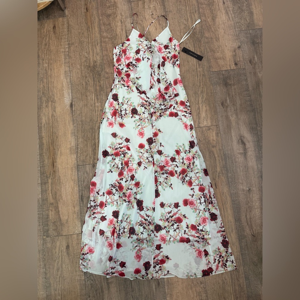 NWT Cynthia Steffe Gabi Pale Green Rose Print V-Neck Maxi Dress Size 0 $278